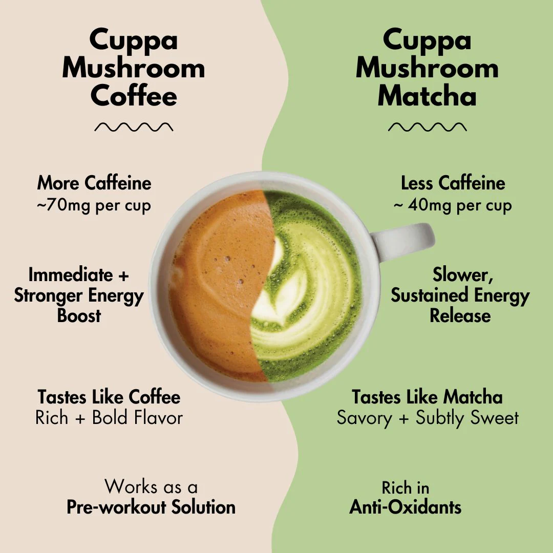 Mushroom Matcha - Image 22